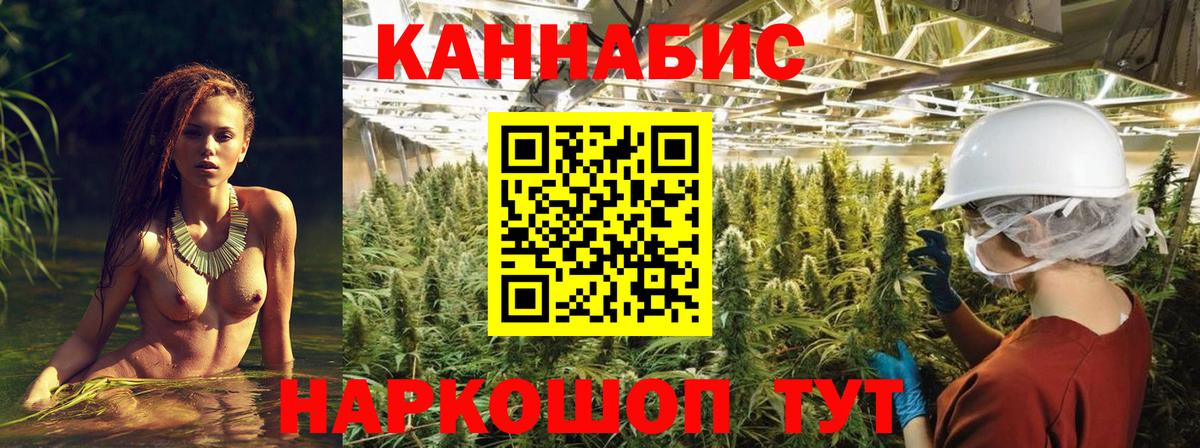Марихуана семена Нефтекумск